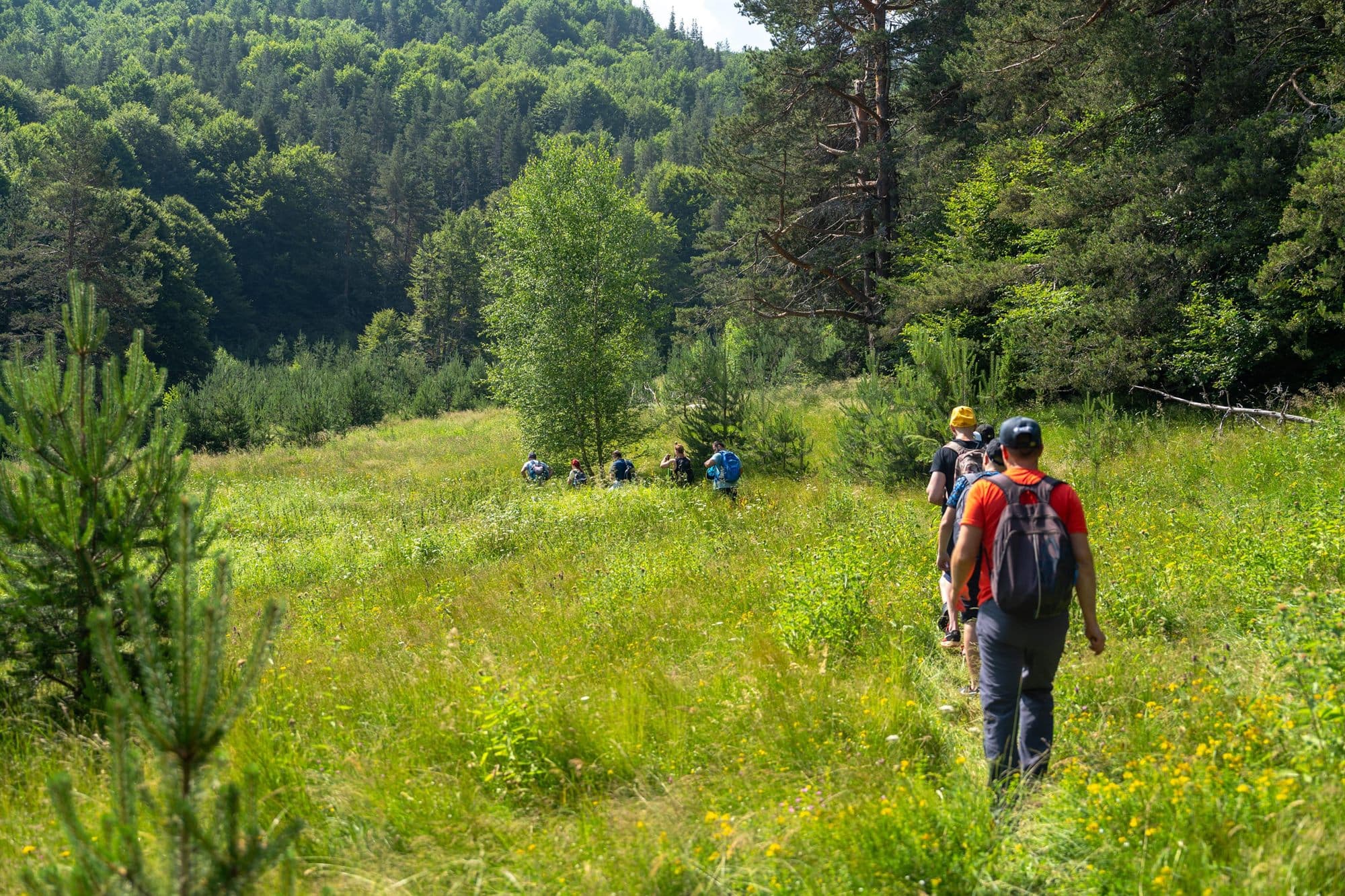 Source of the Arda & Ardin Peak