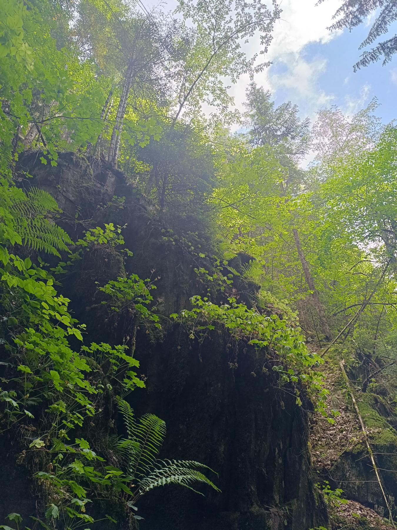 Where to Disconnect: A Digital Detox in the Rhodope Mountains