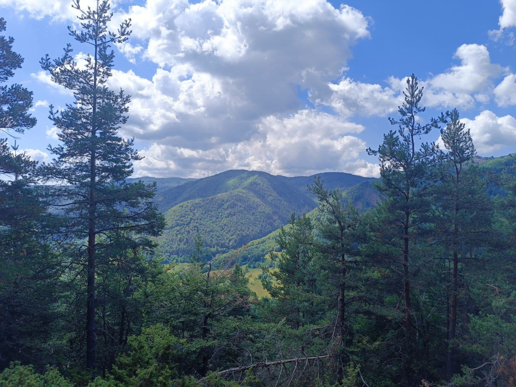 Where to Disconnect: A Digital Detox in the Rhodope Mountains