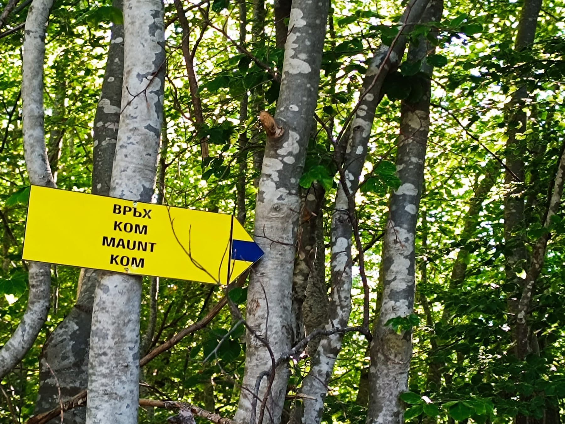 Off the Beaten Path Hiking in Bulgaria: The Upper Arda Valley