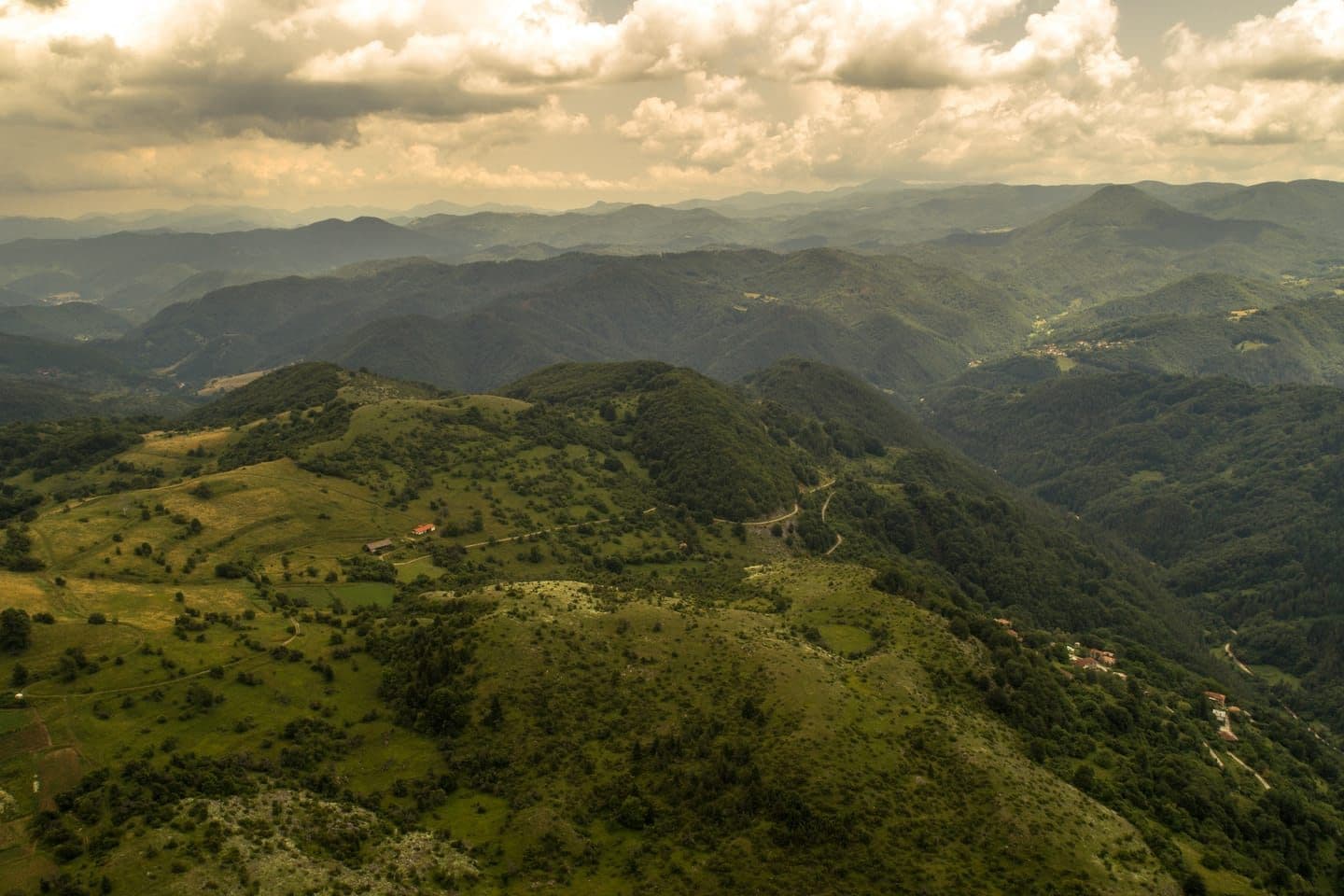 Forested ridges of the Upper Arda valley in the Rhodope Mountains