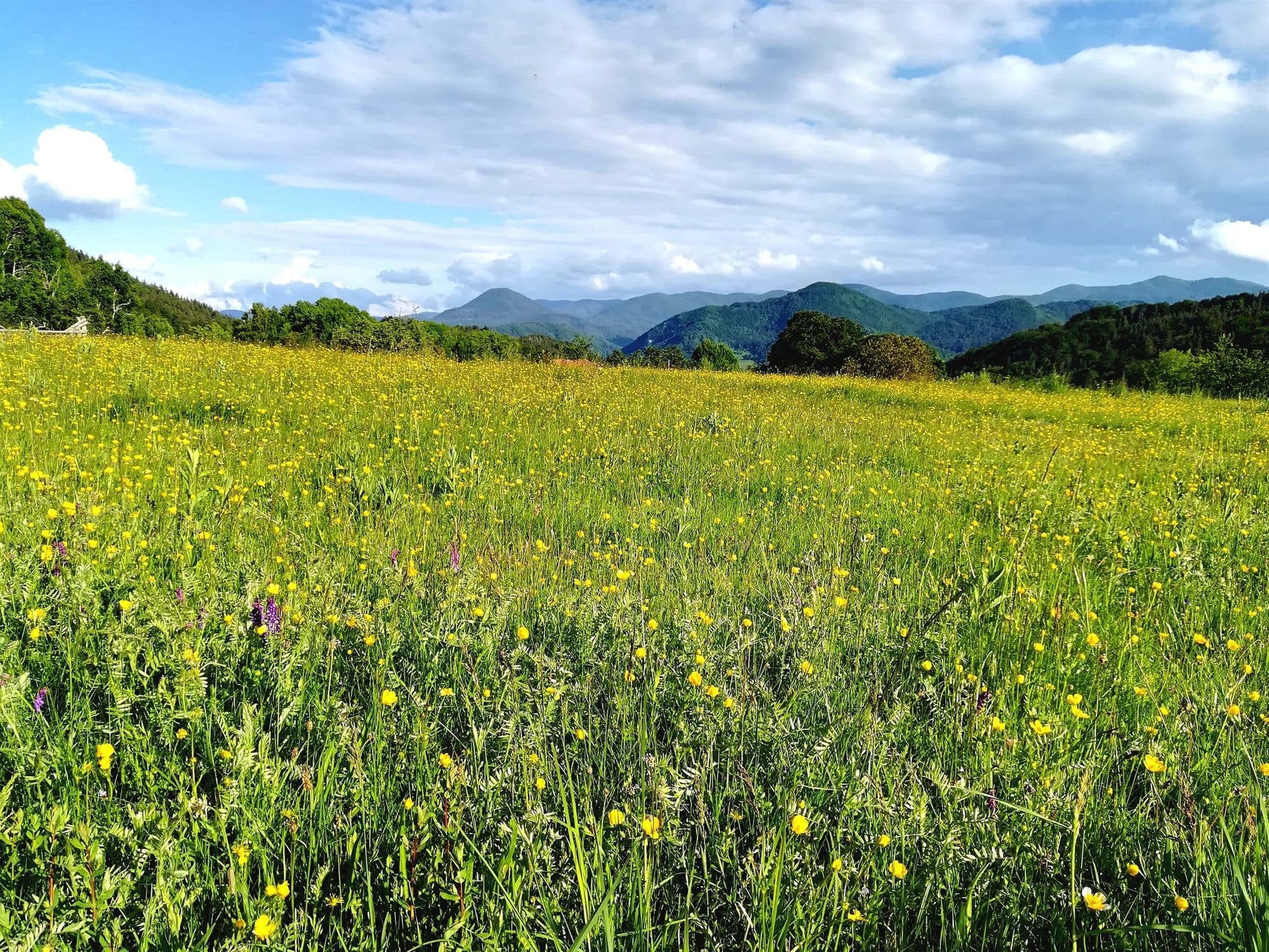 The valley in pictures