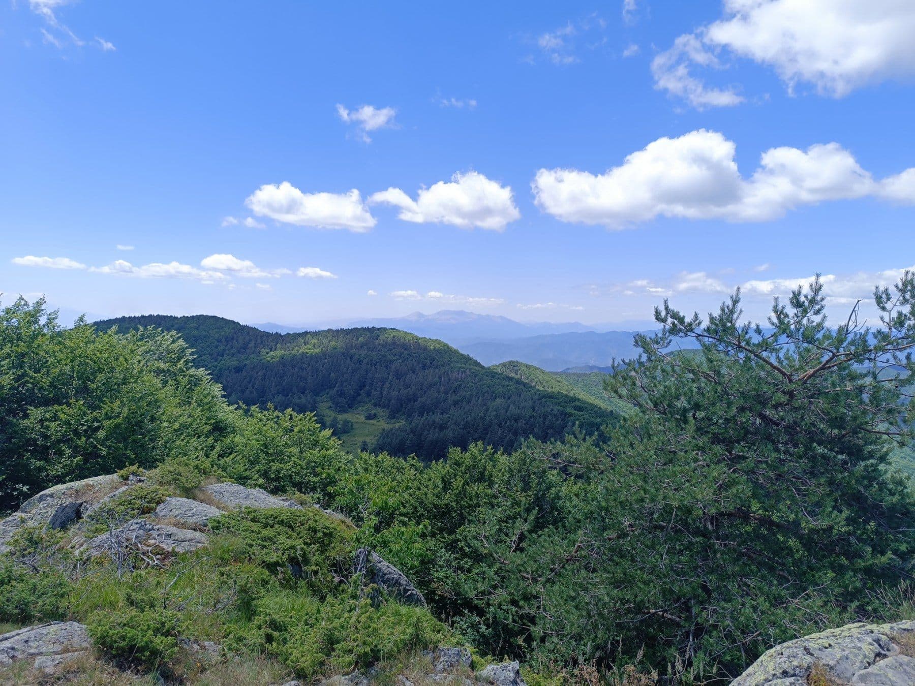 A guided group in the Rhodope Mountains above Mogilitsa
